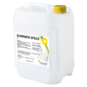 SUMMER SPEED